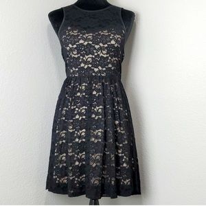 Express Lace Panel Dress in Black